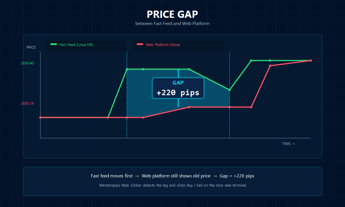Price gap between fast feed and web platform